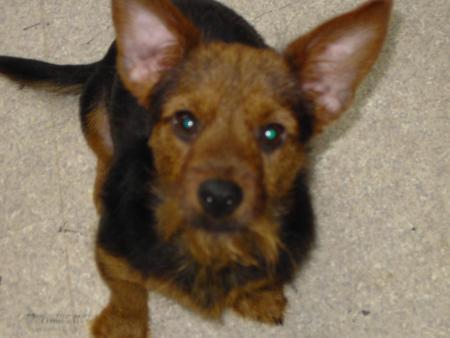 bounty !!! pikioufouf tu nous mank quesque tes bo je t aime mon chien chien !!!!
